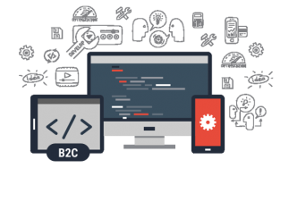 B2C Portal Development in karachi hyderabad